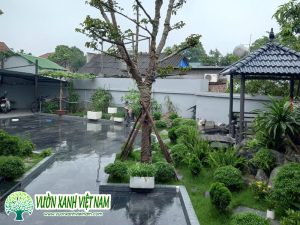 Dịch Vụ Thiết Kế Sân Vườn